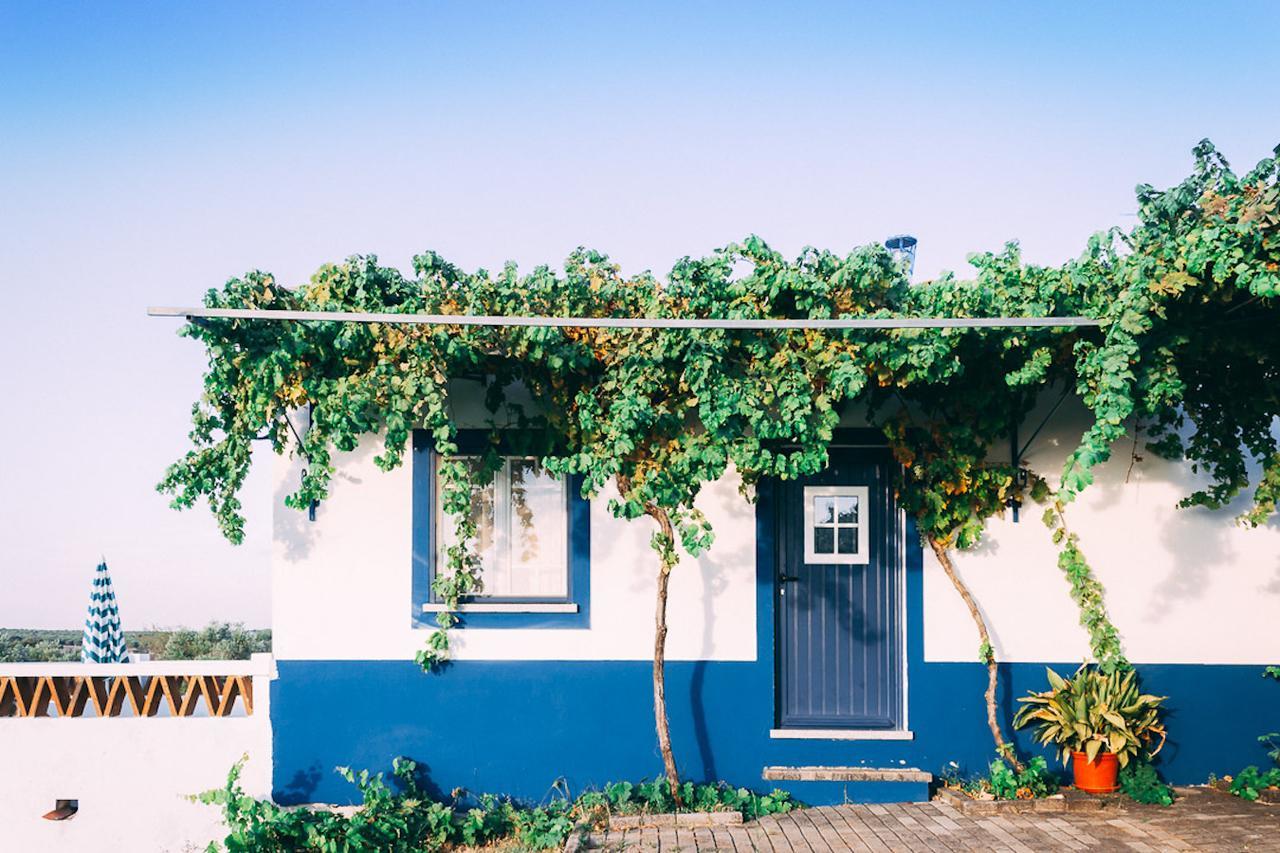 Monte Do Colmeal - Country House & Wine Guest House มอโรง ภายนอก รูปภาพ