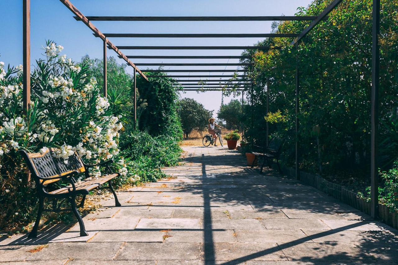 Monte Do Colmeal - Country House & Wine Guest House มอโรง ภายนอก รูปภาพ